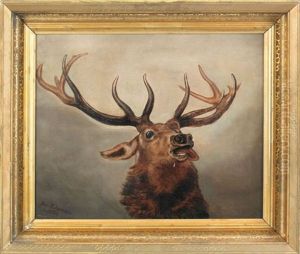 Elk by Ben Austrian