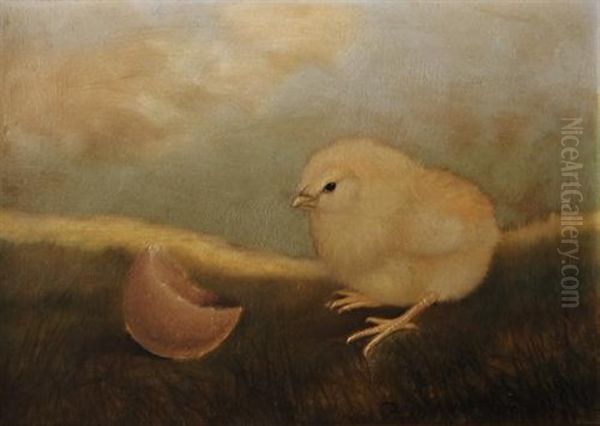 Baby Chick With Egg Shell - view 1