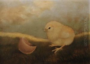 Baby Chick With Egg Shell