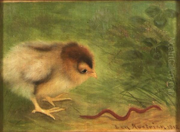 Chick Chasing A Worm - view 1