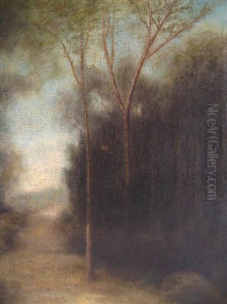 Path In The Woods - view 1