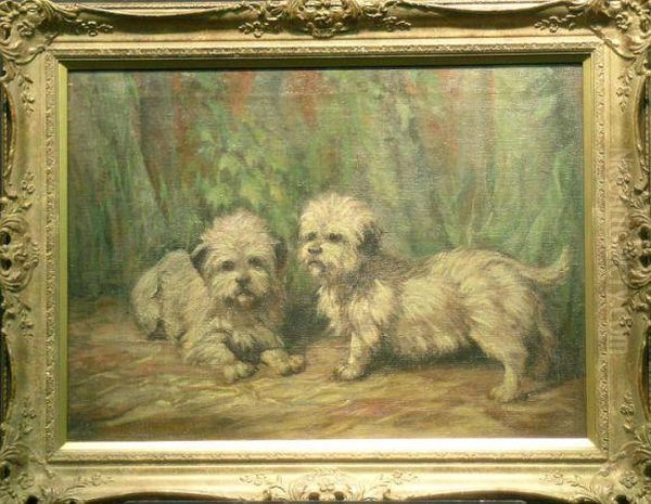 Two Dandie Dinmont Terriers - view 1