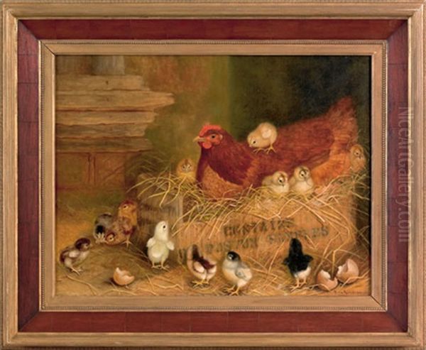 Hen And Thirteen Chicks - view 1
