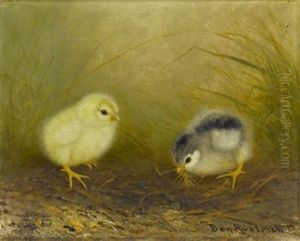 Two Chicks Two Chicks