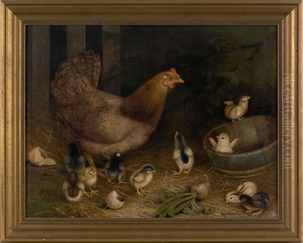 Hen And Ten Chicks - view 1
