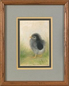 A Single Chick by Ben Austrian
