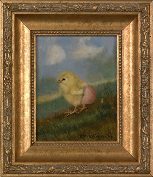 A Young Chick - view 1