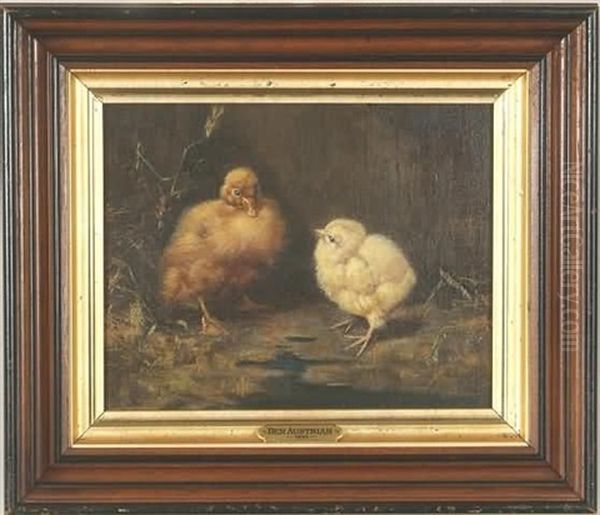 Chick And Duckling - view 1