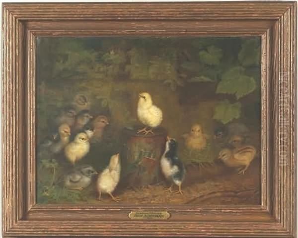 Chicks On A Drum - view 1