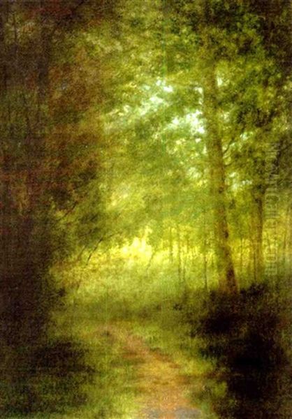 Woodland Landscape - view 1