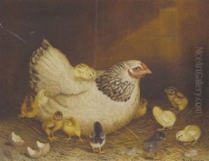 Scene Of A Hen And Her Eleven Chicks, With Empty Shells In The Foreground