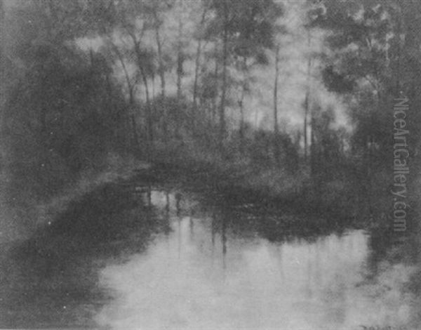 Florida Everglades - view 1