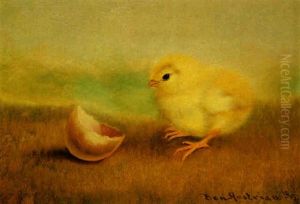 Curious Chick