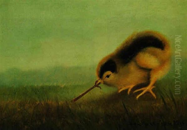 Chick Pulling On A Worm - view 1