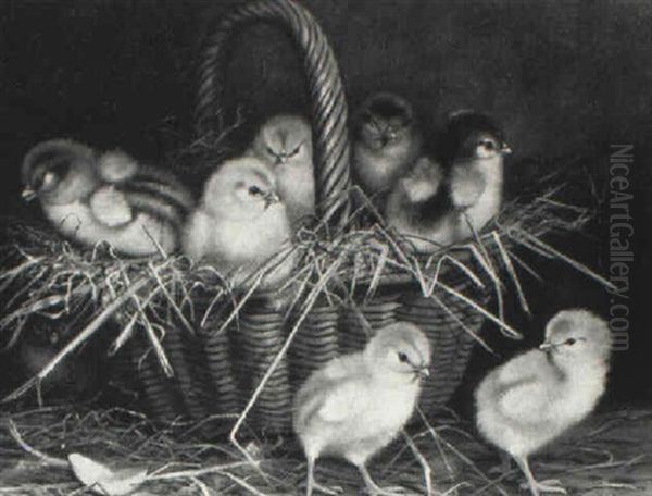 Chicks In A Handled Basket - view 1