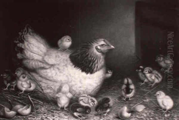 Mother Hen And Her New Brood - view 1