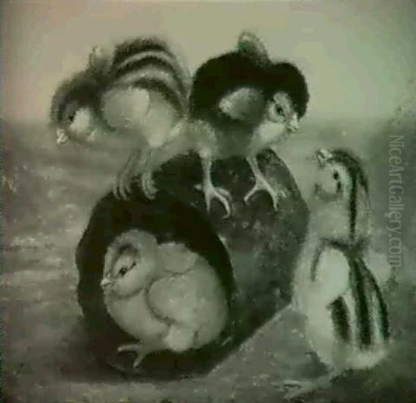 Chicks Playing With Tin Can - view 1