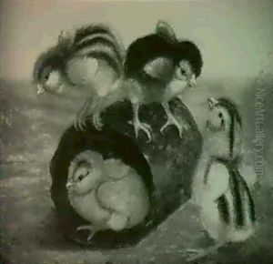 Chicks Playing With Tin Can