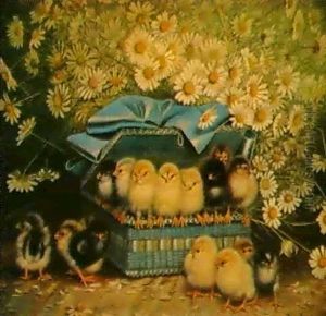 Chicks In A Blue Basket Chicks In A Blue Basket