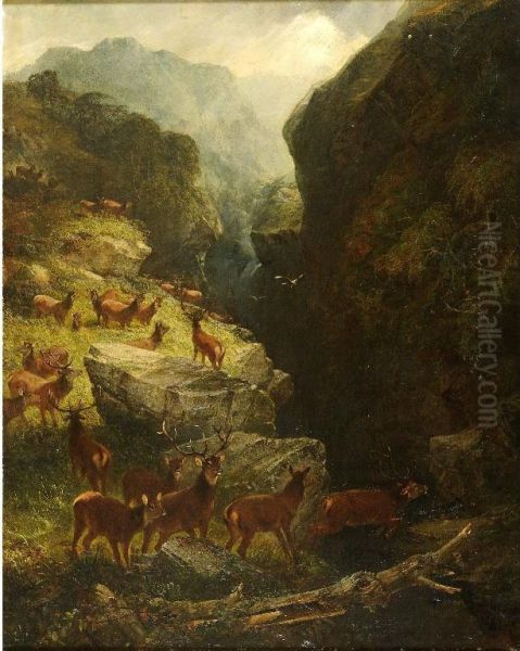 Deer In A Highland Glen - view 1