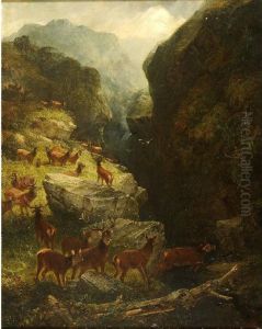 Deer In A Highland Glen by Joseph Adam