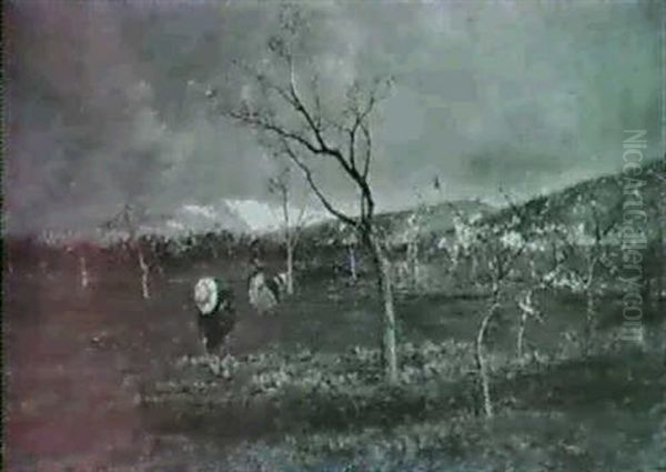 Paysage De Printemps - view 1