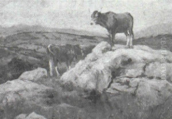 Vacas De Campo (asturias) - view 1