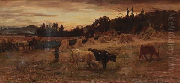 The Stubble, Craigmill - view 1