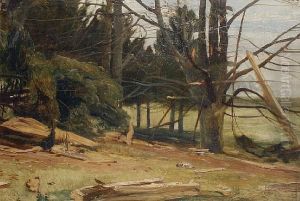 A Woodland Clearing by Joseph Denovan Adam