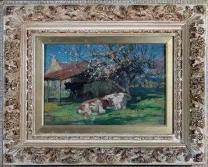 Cows Resting Near A Blossom Tree