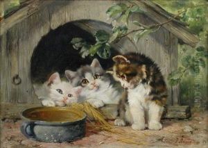 Three Kittens With A Bowl Of Milk