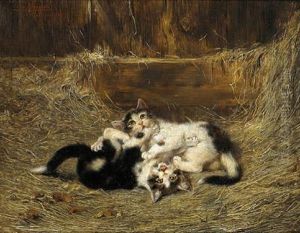 Gattini Che Giocano by Julius Adam