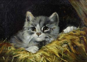 Auf Der Lauer (liegendes Katzchen)