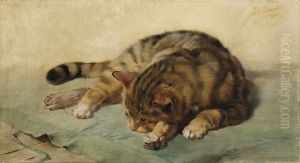Liegende Katze by Julius Adam