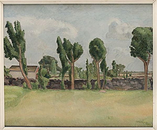 Olandskt Landskap - view 1