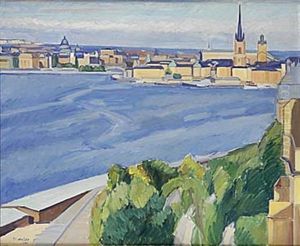 Utsikt Mot Riddarholmen Stockholm
