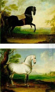 A Black Lipizzaner Stallion by Leopold Axtmann