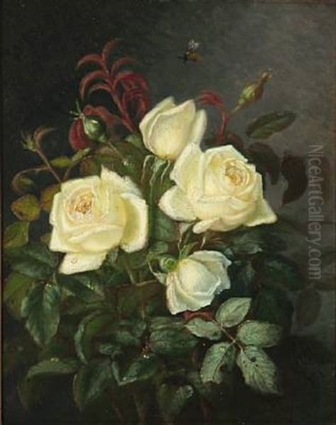 White Roses - view 1