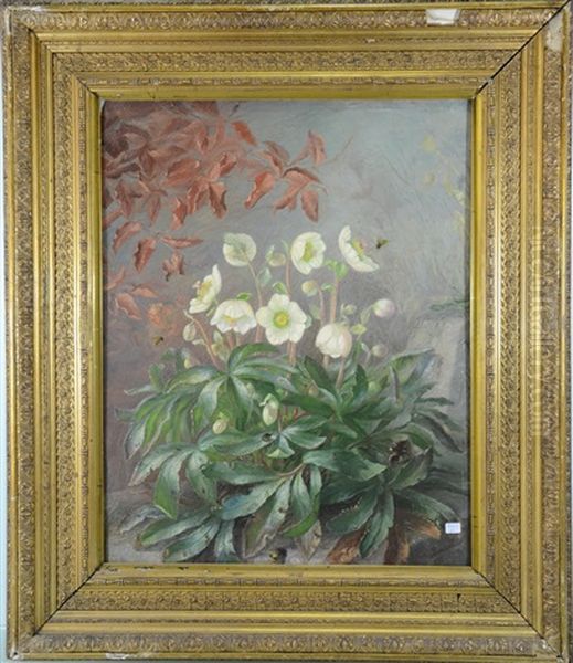 Fleurs Et Insectes - view 1