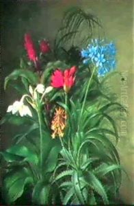 Opstilling Med Brogede Blomster Og Kaktus