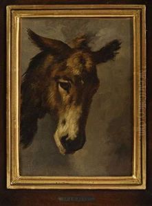 L'ane