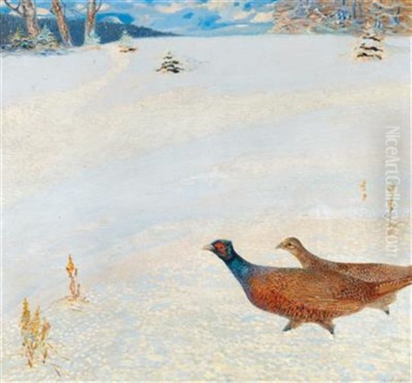 Pheasants In A Winter Landscape - view 1