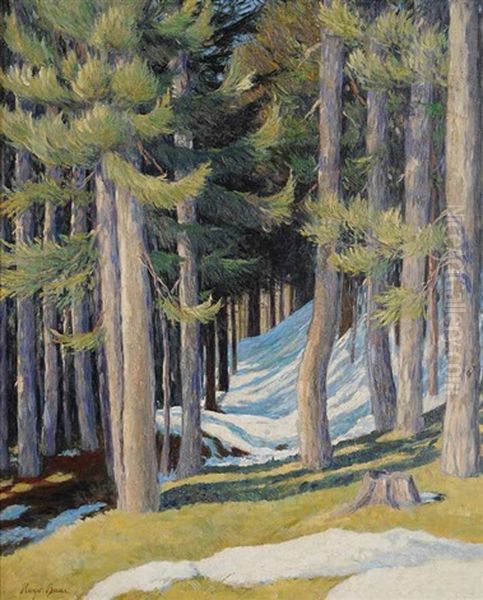 A Forest In Winter - view 1