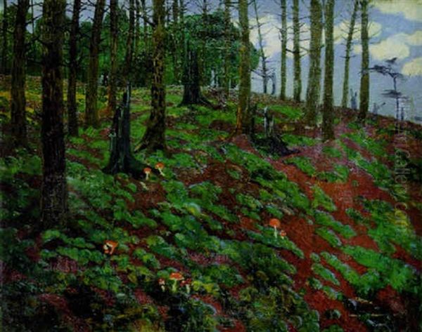 Wald Mit Fliegenpilzen - view 1