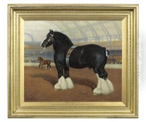 Champion Danesfield Stonewall At Olympia