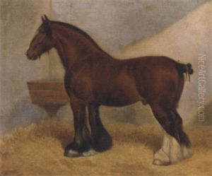 A Heavy Horse