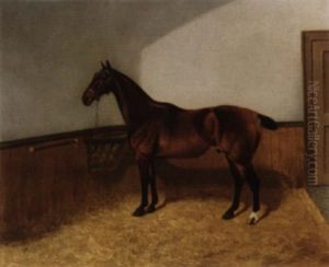 "moreton", A Tethered Hunter In A Stable thumbnail