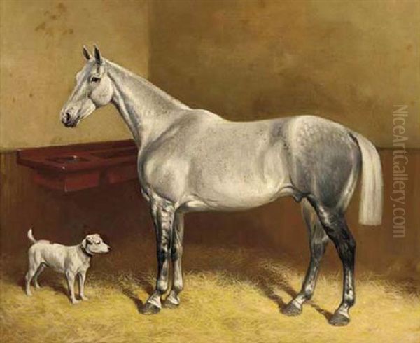 A Dappled Grey And A Terrier In A Stable - view 1