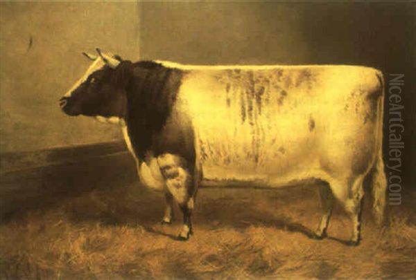Princess Josephine 2nd, A Champion Cow, At Smithfield And Birmingham - view 1