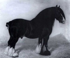 The Shire Horses: Locking Harold